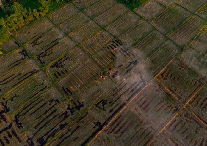 Gobierno impulsa prácticas sustentables para evitar quemas agrícolas en la región Metropolitana