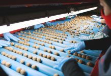 Exportadora sanfelipeña concreta venta de nueces a Turquía gracias a las gestiones de ProChile