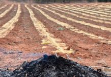 INIA La Platina entrega recomendaciones sustentables para evitar quemas agrícolas