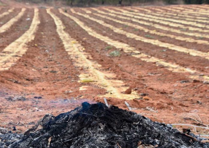 INIA La Platina entrega recomendaciones sustentables para evitar quemas agrícolas