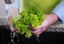 Malas prácticas en el uso de plaguicidas afectan la inocuidad de los alimentos