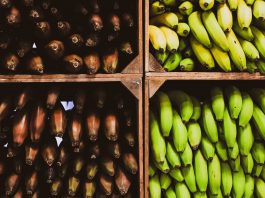 Inteligencia artificial detecta daños en frutas de exportación con ahorro de tiempo y costos