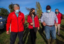 Ministra María Emilia Undurraga en Cuenta Pública Participativa 2020: “La agricultura y el sector forestal representan un importante motor de desarrollo para nuestro país” 