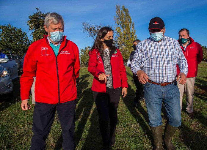 Ministra María Emilia Undurraga en Cuenta Pública Participativa 2020: “La agricultura y el sector forestal representan un importante motor de desarrollo para nuestro país” 