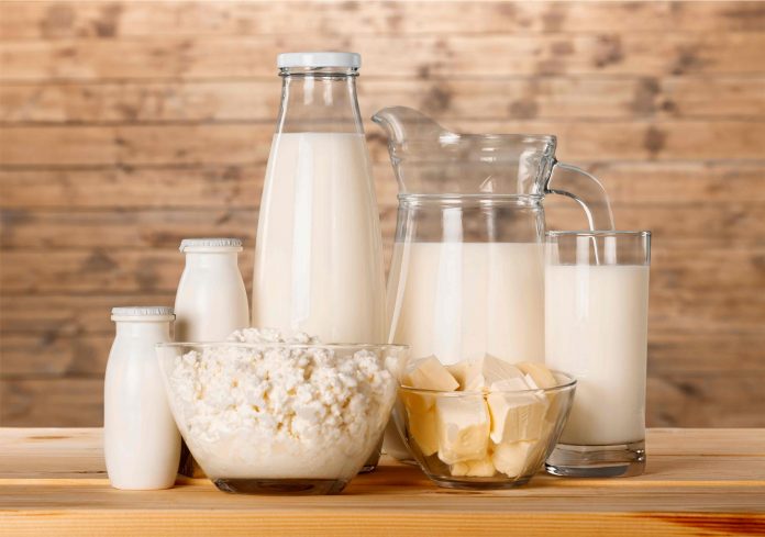 Nuevos estudios del INIA ratifican calidad diferenciada de la leche de vaca producida en el sur de Chile