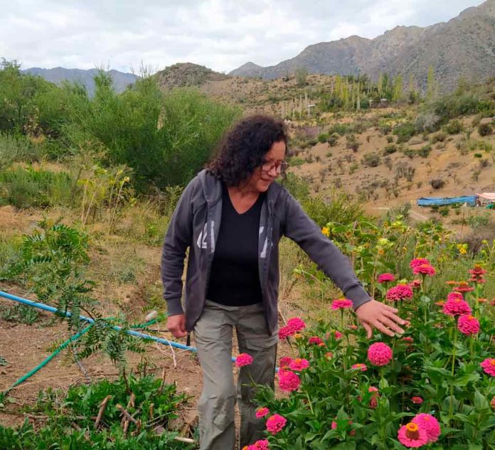 Pequeña agricultora de San Esteban ganó concurso de relatos sobre el cambio climático