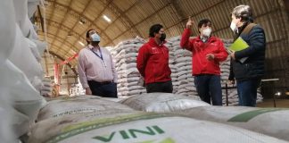 Región del Biobío produce casi el 30% del trigo candeal a nivel nacional   