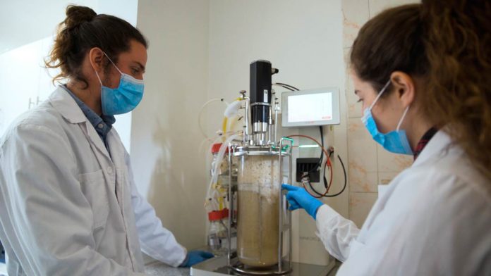 Abre nueva convocatoria para curso de proyectos de innovación a nivel nacional