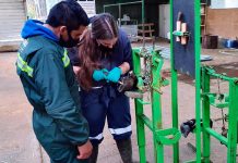 TRABAJADORES AGRÍCOLAS APRENDEN TÉCNICAS DE PREVENCIÓN Y MANEJO DE ENFERMEDADES PODALES EN VACAS LECHERAS