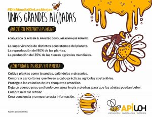 #DíaMundialDeLasAbejas: Unas grandes al(i)adas