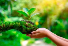 Facultad de Agronomía UdeC destaca las formas de cuidado de la Biodiversidad