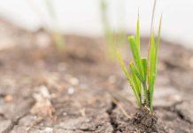 Programa de Recuperación de Suelos Agrícolas Degradados