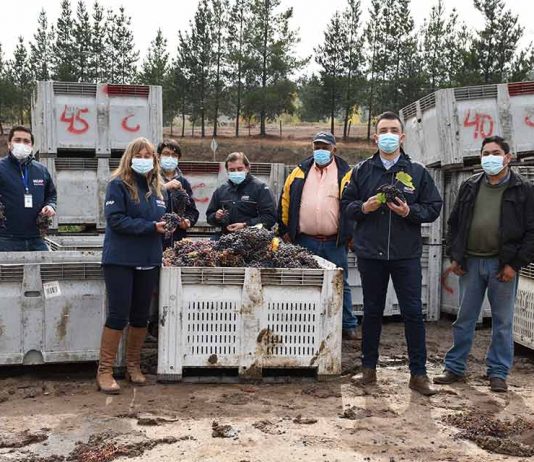 Seis centros de acopio benefician a más de mil familias campesinas de Ñuble