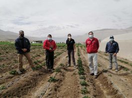 CONADI e INIA renuevan convenio que permite hacer uso eficiente del agua en Alto Azapa 