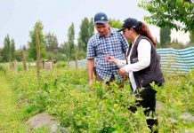 CONVOCAN A PROFESIONALES DEL AGRO COMO AGENTES PROMOTORES DEL IFE UNIVERSAL EN EL MUNDO RURAL