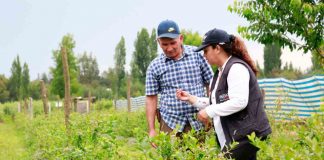 CONVOCAN A PROFESIONALES DEL AGRO COMO AGENTES PROMOTORES DEL IFE UNIVERSAL EN EL MUNDO RURAL