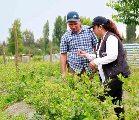 CONVOCAN A PROFESIONALES DEL AGRO COMO AGENTES PROMOTORES DEL IFE UNIVERSAL EN EL MUNDO RURAL