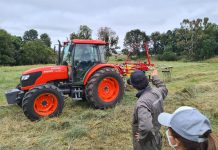 DOCENTE DEL INSTITUTO PROFESIONAL AGRARIO ADOLFO MATTHEI ENTREGÓ CONSEJOS PARA LA MANTENCIÓN