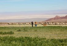 DÍA CONTRA LA DESERTIFICACIÓN Y LA SEQUÍA: PEQUEÑOS AGRICULTORES PUEDEN SER PROTAGONISTAS PARA MEJORAR SUS SISTEMAS DE RIEGO Y SUELOS