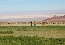 DÍA CONTRA LA DESERTIFICACIÓN Y LA SEQUÍA: PEQUEÑOS AGRICULTORES PUEDEN SER PROTAGONISTAS PARA MEJORAR SUS SISTEMAS DE RIEGO Y SUELOS