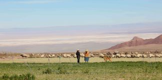 DÍA CONTRA LA DESERTIFICACIÓN Y LA SEQUÍA: PEQUEÑOS AGRICULTORES PUEDEN SER PROTAGONISTAS PARA MEJORAR SUS SISTEMAS DE RIEGO Y SUELOS