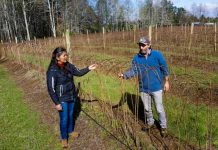 DIVERSIFICACIÓN Y MAYOR EFICIENCIA EN RIEGO DESTACAN COMO ACCIONES ANTE EL CAMBIO CLIMÁTICO EN TALLER CON PRODUCTORES EN LA ARAUCANÍA