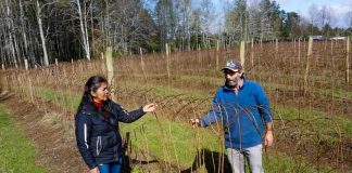 DIVERSIFICACIÓN Y MAYOR EFICIENCIA EN RIEGO DESTACAN COMO ACCIONES ANTE EL CAMBIO CLIMÁTICO EN TALLER CON PRODUCTORES EN LA ARAUCANÍA