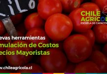 Escuela de Capacitación Online Chile Agrícola integra nuevas herramientas para simulación de costos productivos