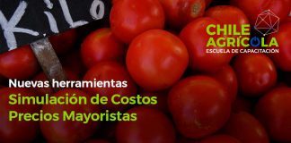 Escuela de Capacitación Online Chile Agrícola integra nuevas herramientas para simulación de costos productivos