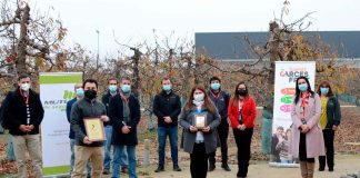 GARCES FRUIT recibe reconocimiento por su positivo avance en accidentabilidad y siniestralidad