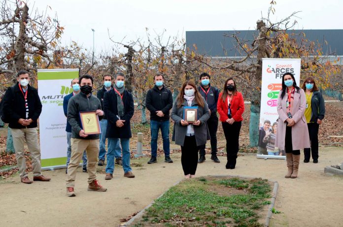 GARCES FRUIT recibe reconocimiento por su positivo avance en accidentabilidad y siniestralidad