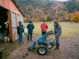 La asociatividad e innovación se unen para el desarrollo rural con apoyo de Indap en Alto Biobío