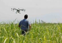 Premio Nacional de Innovación Avonni: Continúa convocatoria a la categoría FIA "Agro del Futuro"