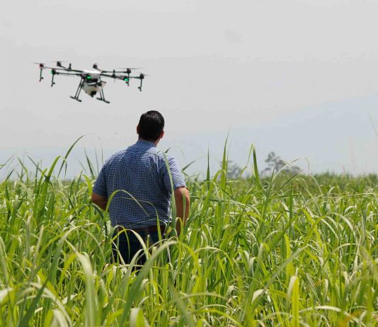 Premio Nacional de Innovación Avonni: Continúa convocatoria a la categoría FIA "Agro del Futuro"