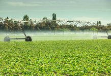 Reporte de sostenibilidad muestra importantes avances en dimensiones económica, social y ambiental