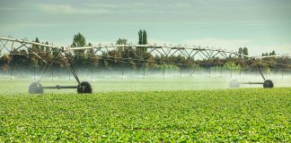 Reporte de sostenibilidad muestra importantes avances en dimensiones económica, social y ambiental