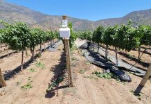 Última jornada del ciclo de charlas sobre viticultura y cambio climático presentó herramienta de manejo agronómico