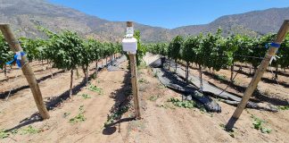 Última jornada del ciclo de charlas sobre viticultura y cambio climático presentó herramienta de manejo agronómico