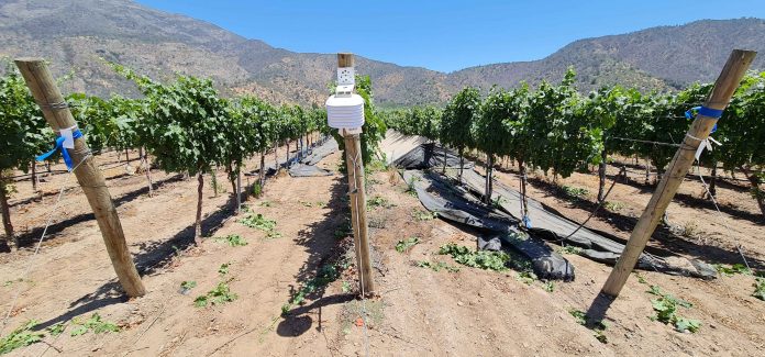 Última jornada del ciclo de charlas sobre viticultura y cambio climático presentó herramienta de manejo agronómico