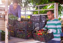 Cumbre de la ONU sobre Sistemas Alimentarios: los países de las Américas alcanzan consensos para que la voz de los agricultores sea escuchada en el foro global