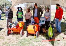 Subsecretario de Agricultura conoció en terreno daños causados por la Mostaza Negra en El Loa