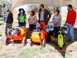 Subsecretario de Agricultura conoció en terreno daños causados por la Mostaza Negra en El Loa