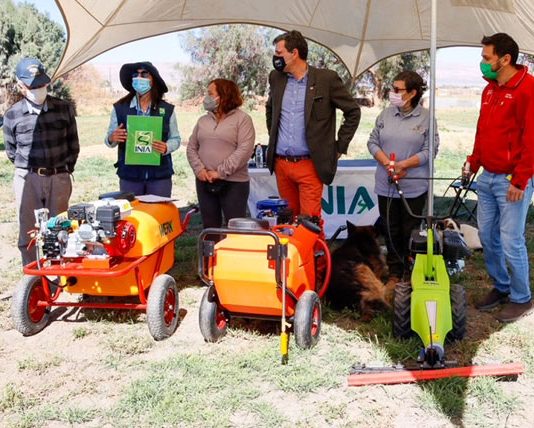 Subsecretario de Agricultura conoció en terreno daños causados por la Mostaza Negra en El Loa