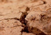 Expertos U. de Chile alertan sobre “condiciones secas” durante este invierno en gran parte del país