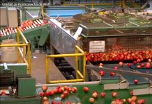 Laboratorio de Postcosecha de INIA La Platina ofrece moderna infraestructura y equipo para investigar aspectos de conservación de productos hortofrutícolas
