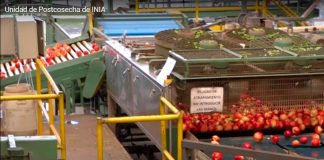 Laboratorio de Postcosecha de INIA La Platina ofrece moderna infraestructura y equipo para investigar aspectos de conservación de productos hortofrutícolas