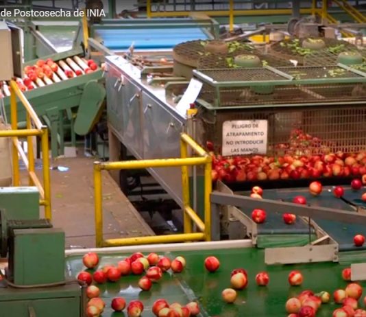 Laboratorio de Postcosecha de INIA La Platina ofrece moderna infraestructura y equipo para investigar aspectos de conservación de productos hortofrutícolas