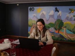 Ministra Undurraga inaugura seminario online: “Desarrollo del riego en el secano de O’Higgins”