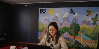 Ministra Undurraga inaugura seminario online: “Desarrollo del riego en el secano de O’Higgins”