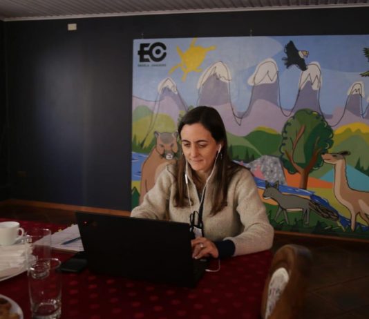 Ministra Undurraga inaugura seminario online: “Desarrollo del riego en el secano de O’Higgins”